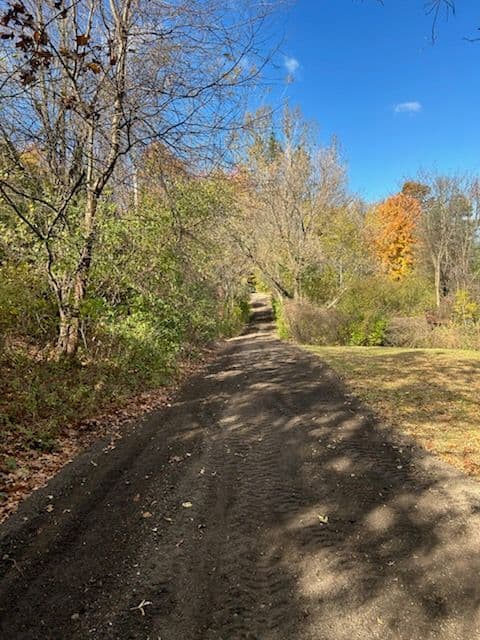 Crushed Asphalt Driveway Transformation