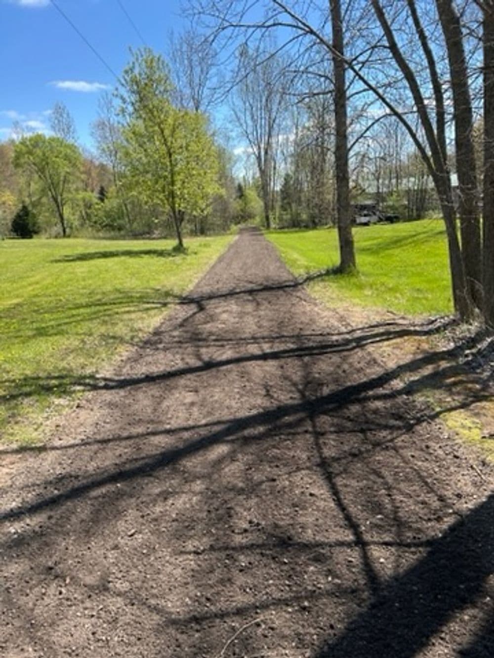 Gravel path through trees and greenery under a blue sky, ideal for walking or biking.
