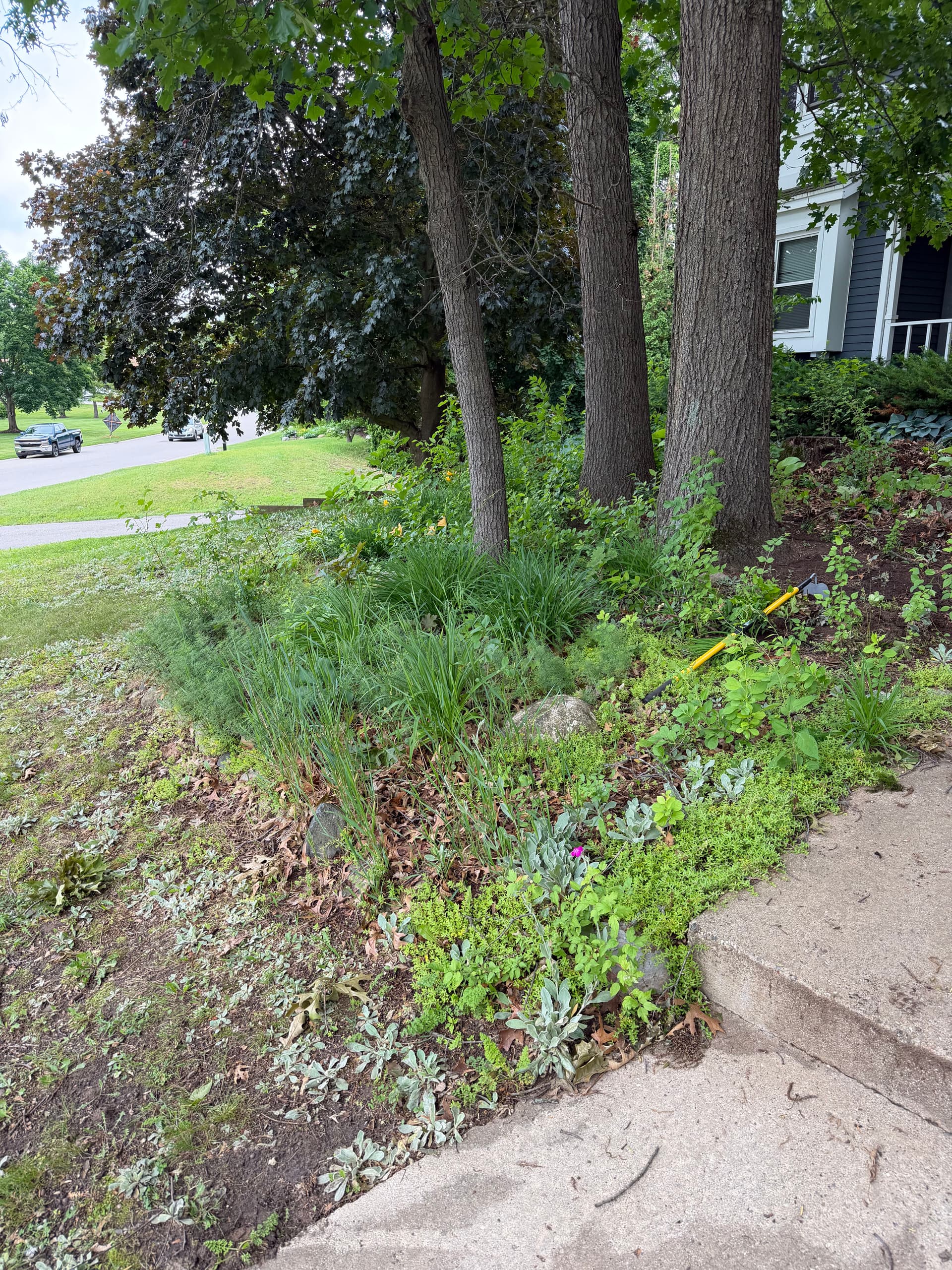 24 Yards of Mulch and a Full Landscape Facelift image