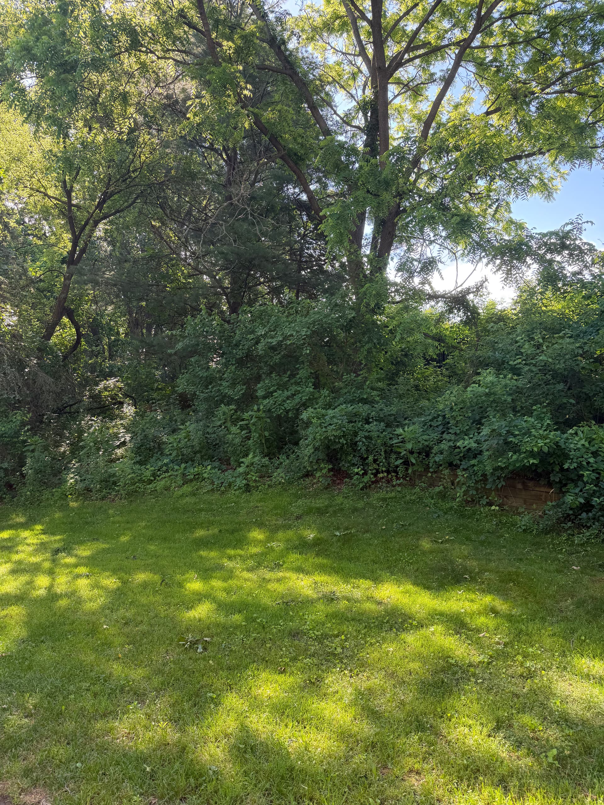 Gallery photos for 24 Yards of Mulch and a Full Landscape Facelift: Image #5