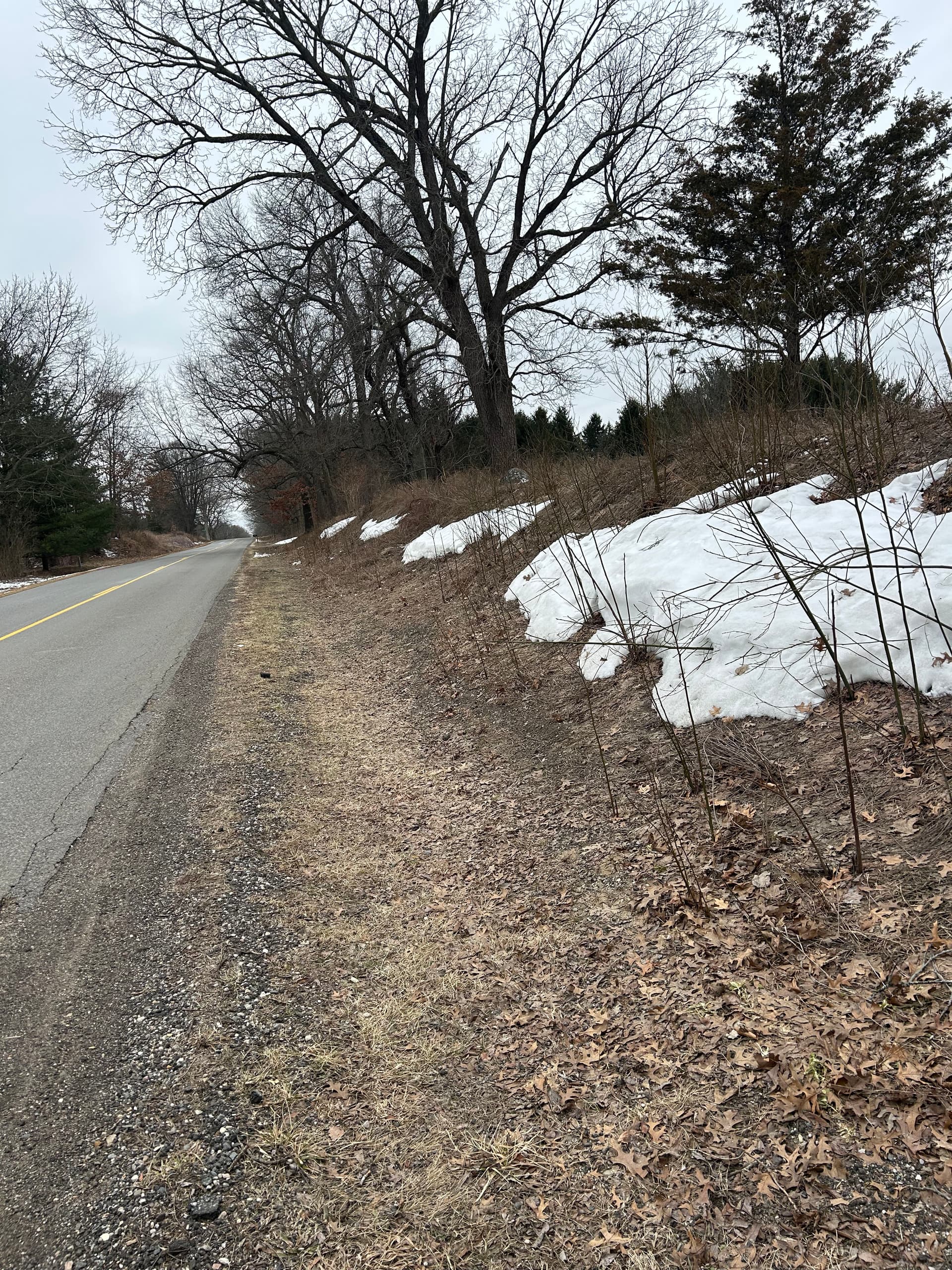 Gallery photos for Brush Hogging Projects in West Michigan: Image #2