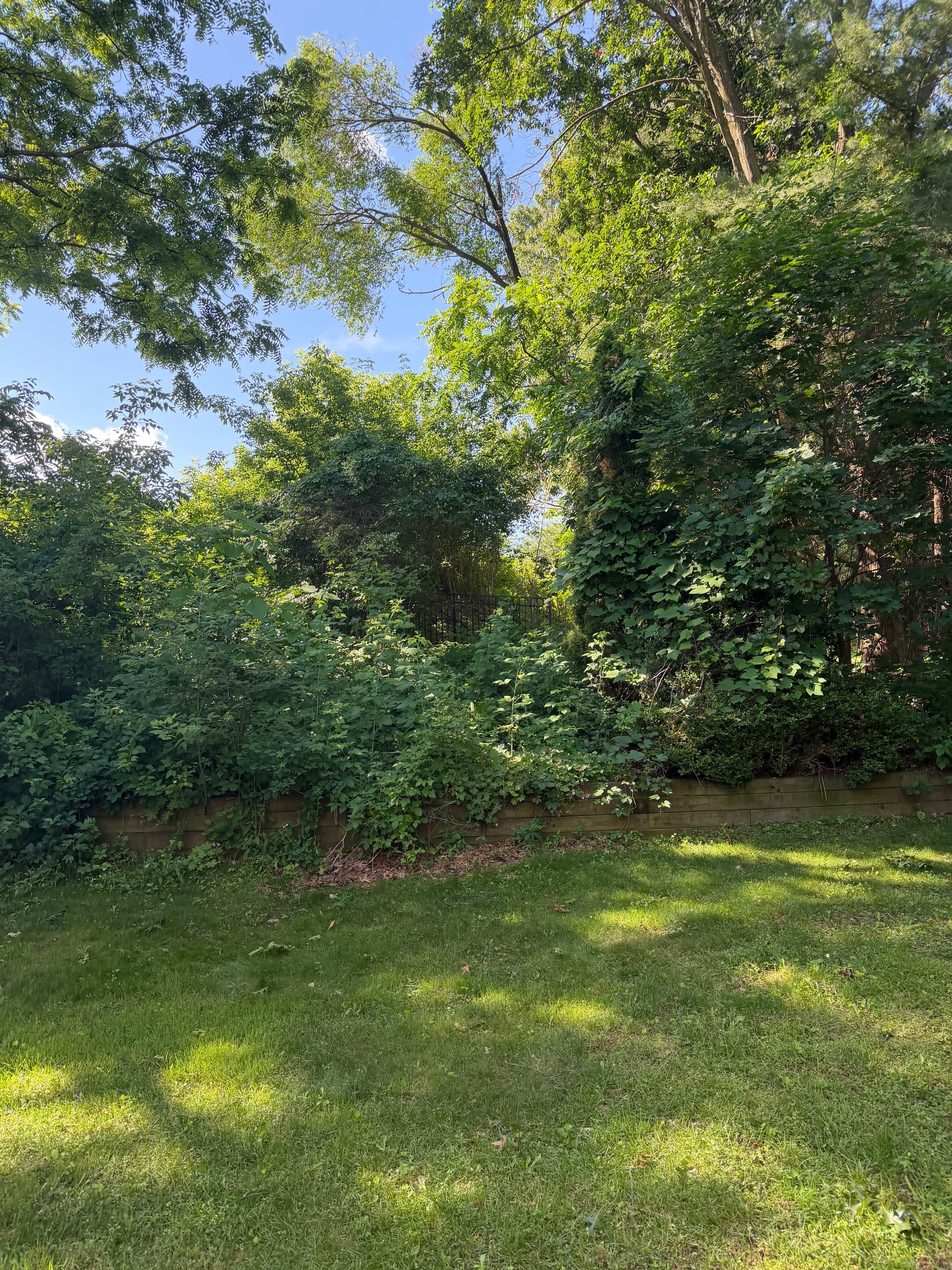 Gallery photos for 24 Yards of Mulch and a Full Landscape Facelift: Image #6