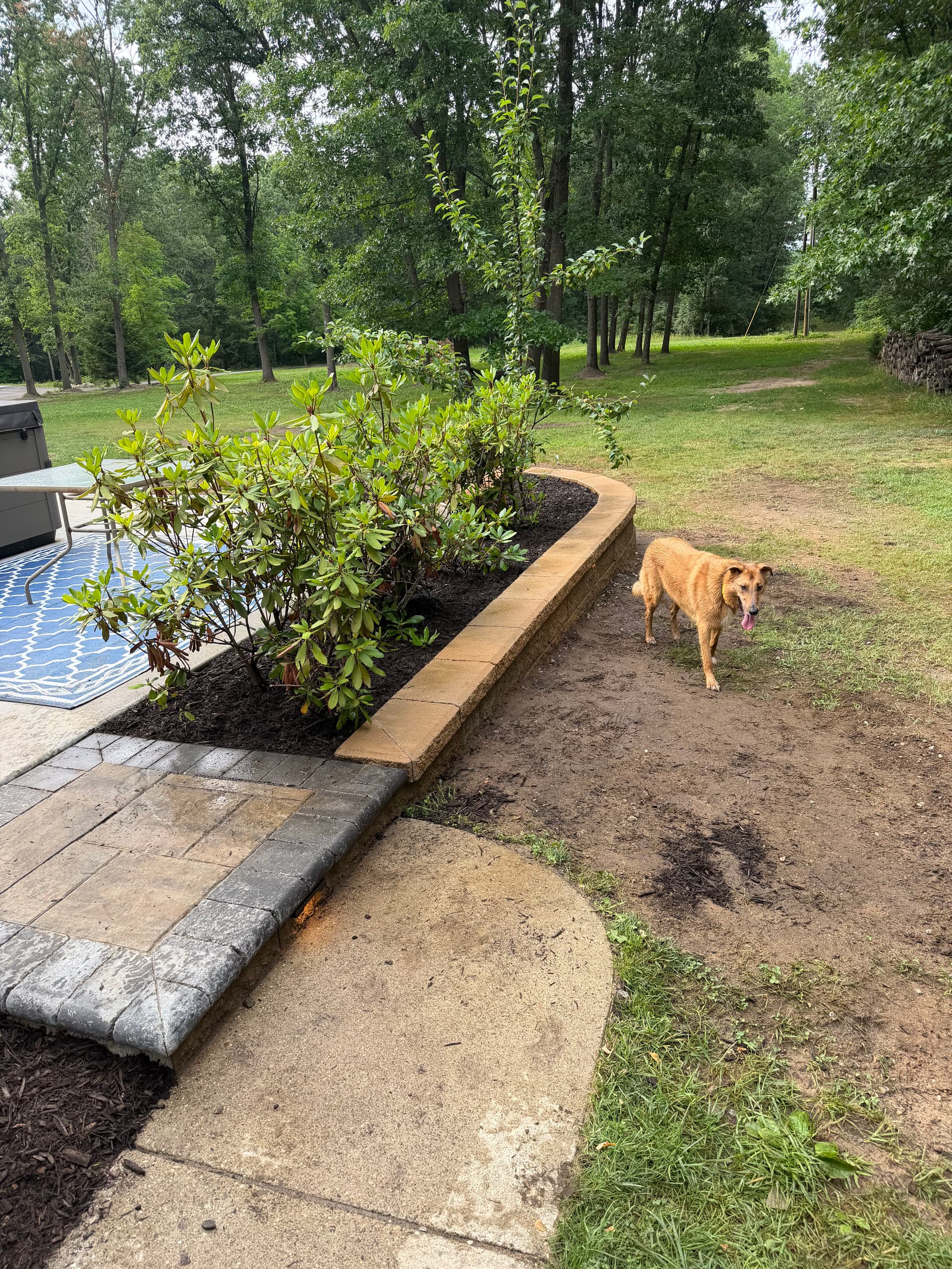 Gallery photos for New Patio Steps and Retaining Wall Give This Backyard a Sharp Finished Look: Image #3