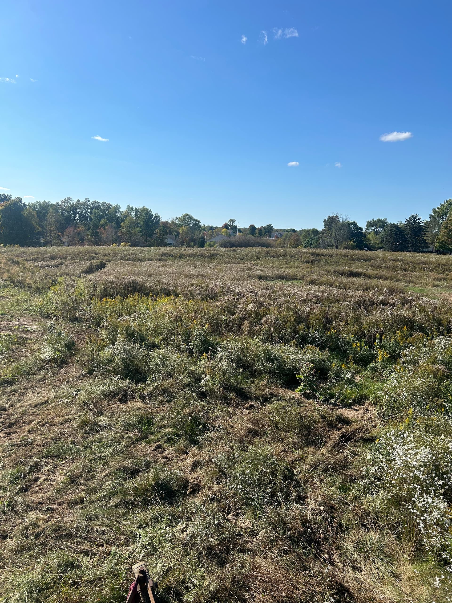 Brush Hogging Projects in West Michigan image